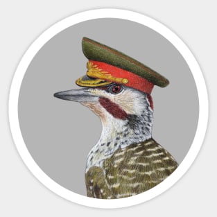 Bennett's woodpecker Sticker